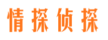 宁德市调查公司